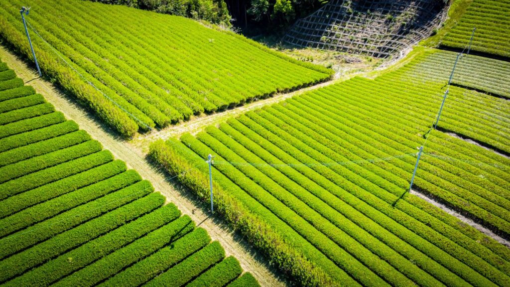 津野町の紹介 | つのつねづね#6