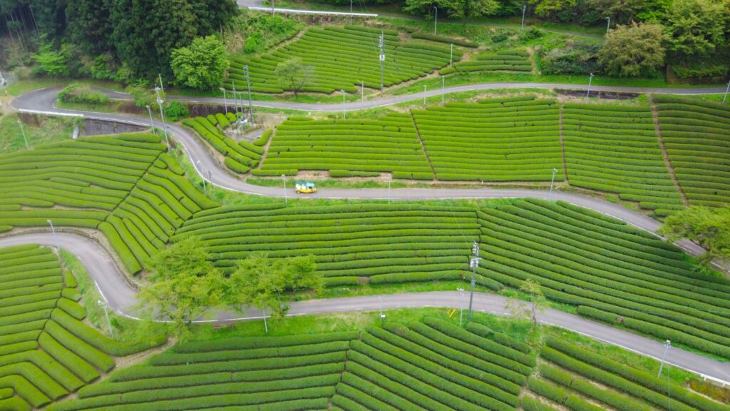 津野町の紹介 | つのつねづね#6